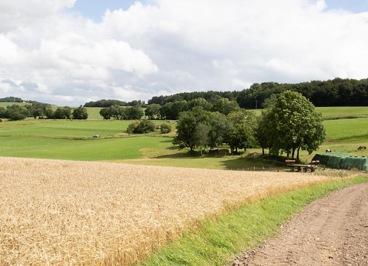 Ferienwohnung Roderath Nettersheim Bagian luar foto